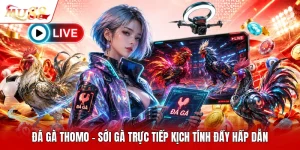 Đá Gà Thomo - Sới Gà Trực Tiếp Kịch Tính Đầy Hấp Dẫn