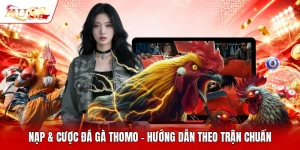 Nạp & Cược Đá Gà Thomo - Hướng Dẫn Theo Trận Chuẩn